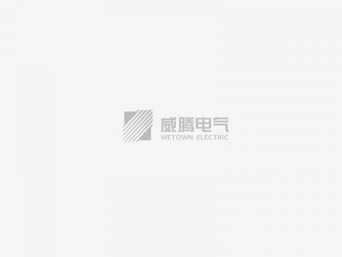 中国将建世界最大核电站 可防波音747撞击