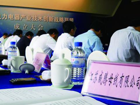 冰球突破母线参与江苏省电力电器产业技术创新战术同盟