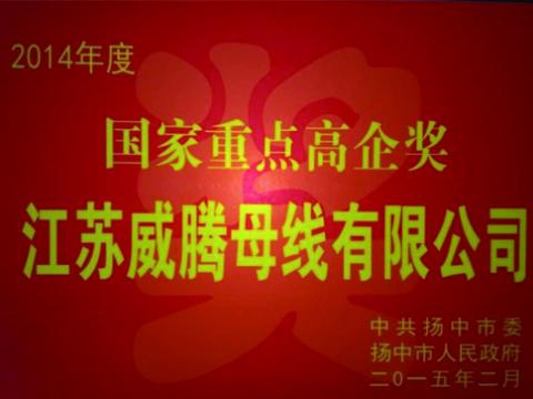 冰球突破母线公司获“国度重点高企”奖