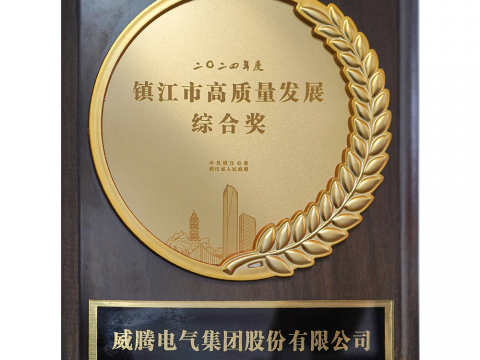 喜讯│冰球突破荣获2024年度宜昌市高质量发展综合奖