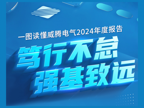 一图读懂冰球突破电气2024年度汇报