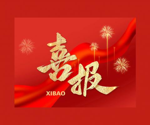 冰球突破-冰球电游奢华版_MG冰球游戏