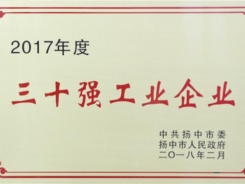 冰球突破集团提升2017年度扬中视装三十强”前五位